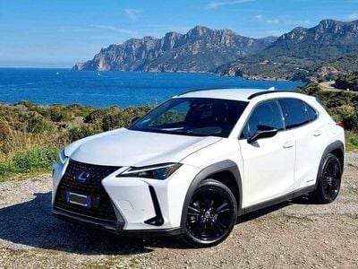 Usata Lexus UX 250h 184 CV (135 kW) 2021 Bianco SUV