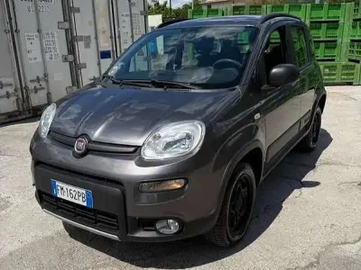 Usata Fiat Panda 4x4 S 95 CV (69 kW) 2017 Verde Utilitaria