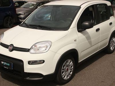 usata Fiat Panda 1.0 FireFly S&S Hybrid City Life