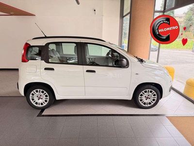 Usata Fiat Panda Pop 69 CV (50 kW) 2015 Bianco Utilitaria