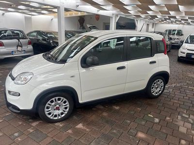 Usata Fiat Panda S 69 CV (50 kW) 2023 Bianco Utilitaria
