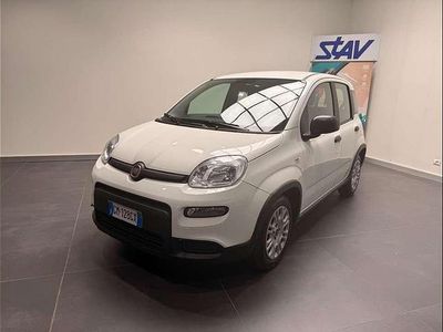 Usata Fiat Panda S 69 CV (50 kW) 2023 Bianco gelato Utilitaria