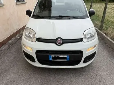 Usata Fiat Panda Easy 69 CV (50 kW) 2014 Utilitaria