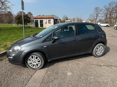 Usata Fiat Punto 2014 Utilitaria