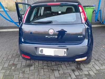Usata Fiat Punto Evo 75 CV (55 kW) 2011 Blu Utilitaria