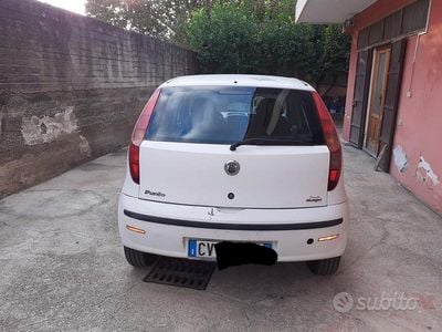 Usata Fiat Punto 2005 Bianco Utilitaria