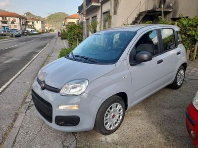 usata Fiat Panda 1.0