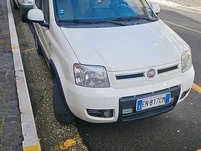 Usata Fiat Panda 4x4 2011 Bianco Utilitaria