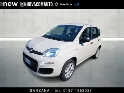 Usata Fiat Panda Lounge 80 CV (58 kW) 2016 Beige angora Utilitaria