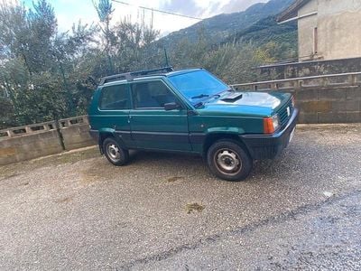 Usata Fiat Panda 4x4 Club 50 CV (36 kW) 1992 Verde Utilitaria
