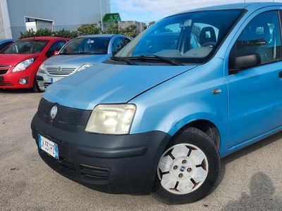 usata Fiat Panda 1100 i.e. cat Young