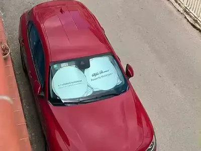Usata Alfa Romeo Stelvio 210 CV (154 kW) 2019 Rosso SUV