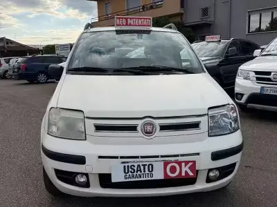 Usata Fiat Panda Dynamic 60 CV (44 kW) 2007 Bianco Utilitaria
