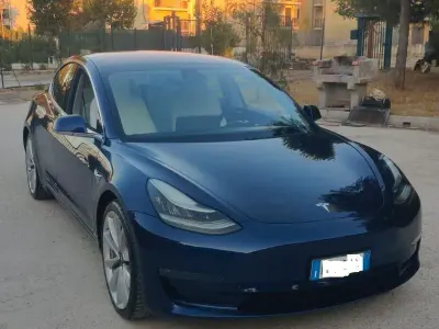 Usata Tesla Model 3 Performance 155 kW (211 CV) 2019 Bluazzurro Berlina