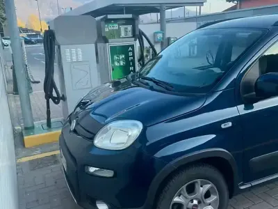 Usata Fiat Panda 4x4