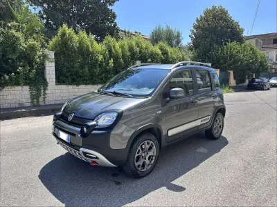 Usata Fiat Panda Cross Cross 95 CV (69 kW) 2017 Grigio Utilitaria