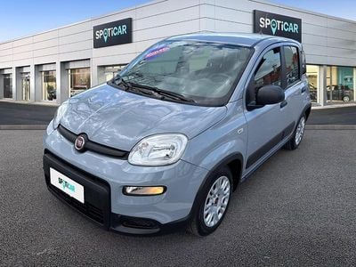 Usata Fiat Panda S 70 CV (51 kW) 2022 Grigio Utilitaria