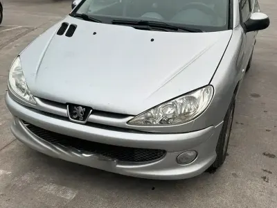 Usata Peugeot 206 75 CV (55 kW) 2007 Berlina