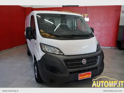 Usata Fiat Ducato