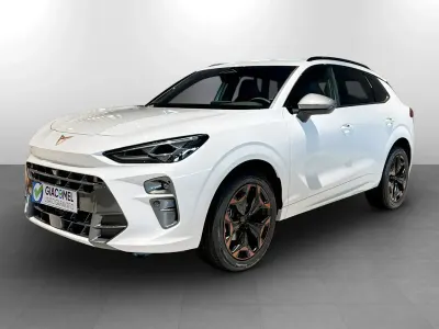 Usata Cupra Terramar