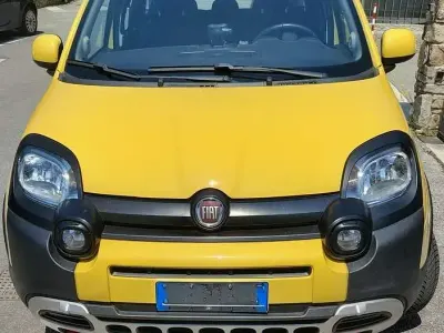 Usata Fiat Panda 4x4 S 86 CV (63 kW) 2018 Utilitaria