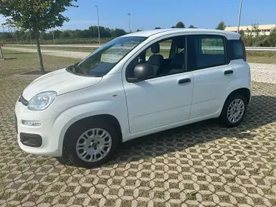 Usata Fiat Panda Easy 69 CV (50 kW) 2020 Utilitaria