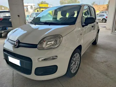 Usata Fiat Panda Easy 70 CV (51 kW) 2021 Bianco Utilitaria
