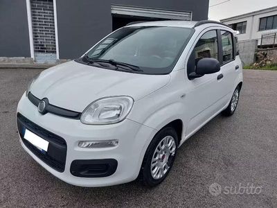 Usata Fiat Panda Easy 69 CV (50 kW) 2012 Bianco Utilitaria