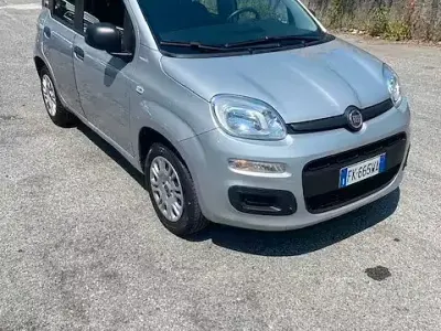 Usata Fiat Panda Easy 69 CV (50 kW) 2017 Grigio Utilitaria
