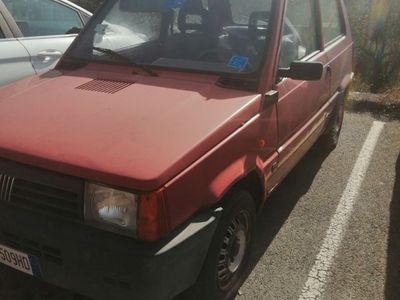 usata Fiat Panda yung