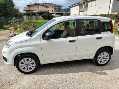 Usata Fiat Panda 70 CV (51 kW) 2016 Bianco Utilitaria