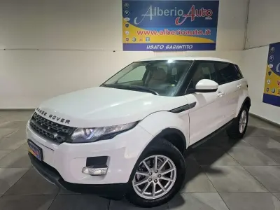 Usata Land Rover Range Rover evoque Pure 150 CV (110 kW) 2014 Bianco SUV