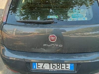 Usata Fiat Punto Evo 75 CV (55 kW) 2015 Grigio Utilitaria
