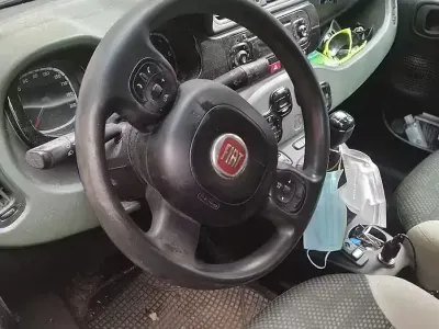 Usata Fiat Panda 75 CV (55 kW) 2014 Verde Utilitaria