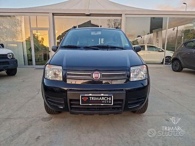 Usado Fiat Panda 4x4 69 HP (50 kW) 2008 Other Citadino