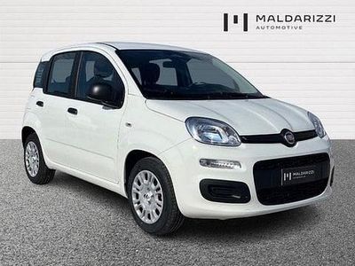 Nuova Fiat Panda Icon 65 CV (47 kW) 2026 Bianco Utilitaria