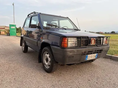 Usata Fiat Panda 4x4 Trekking 54 CV (39 kW) 2003 Blu/azzurro Utilitaria
