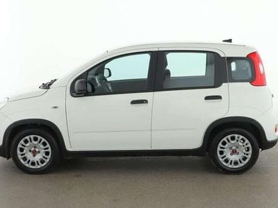 Usata Fiat Panda S 69 CV (50 kW) 2022 Bianco Utilitaria