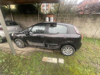 Usata Fiat Punto Evo Dynamic 77 CV (56 kW) 2009 Utilitaria