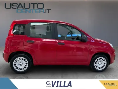 Usata Fiat Panda 70 CV (51 kW) 2024 Utilitaria
