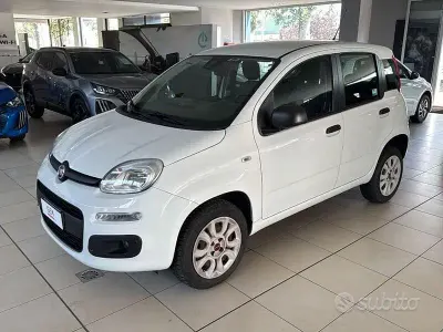 Usata Fiat Panda Easy 80 CV (58 kW) 2018 Bianco Utilitaria