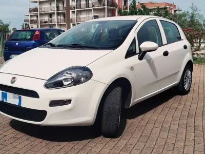 Usata Fiat Punto Easy 77 CV (56 kW) 2015 Bianco Utilitaria