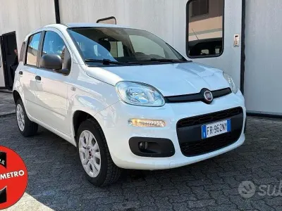 Occasion Fiat Panda Easy 70 PK (51 kW) 2018 Wit Hatchback