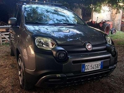 Usata Fiat Panda Cross Cross 69 CV (50 kW) 2020 Grigio Utilitaria