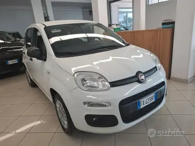 Usata Fiat Panda Easy 69 CV (50 kW) 2019 Bianco Utilitaria
