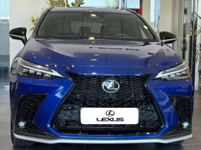 Usata Lexus NX450h+