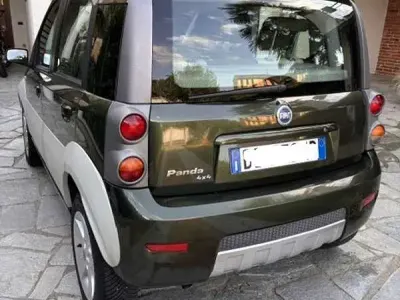 Usata Fiat Panda 4x4 Cross 69 CV (50 kW) 2006 Verde Utilitaria