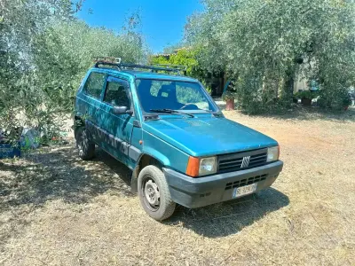Usata Fiat Panda 4x4 54 CV (39 kW) 2000 Verde Utilitaria