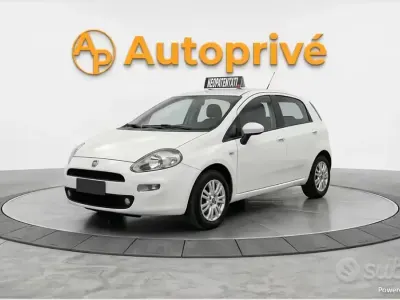Usata Fiat Punto Lounge 77 CV (56 kW) 2014 Bianco Utilitaria