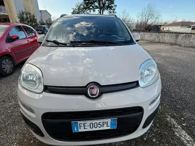 Usata Fiat Panda 80 CV (58 kW) 2017 Utilitaria